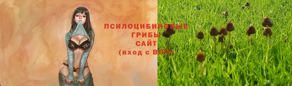 прущие крисы Корсаков