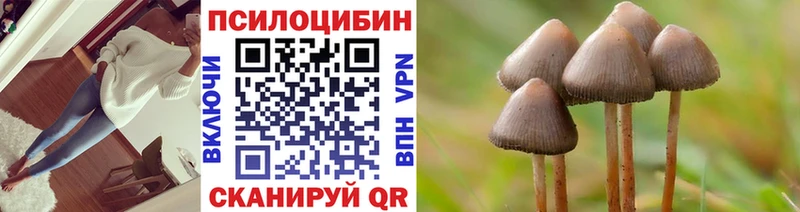Псилоцибиновые грибы Cubensis  Сергач 